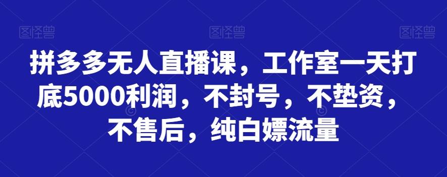 拼多多无人直播课，工作室一天打底5000利润，不封号，不垫资，不售后，纯白嫖流量-学库网