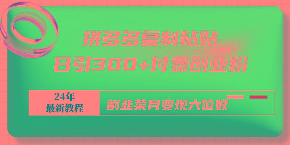 拼多多复制粘贴日引300+付费创业粉，割韭菜月变现六位数最新教程！-学库网