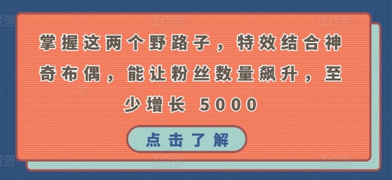 掌握这两个野路子，特效结合神奇布偶，能让粉丝数量飙升，至少增长 5000【揭秘】-学库网