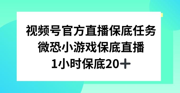 视频号直播任务，微恐小游戏，1小时20+【揭秘】-学库网