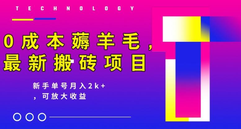 0成本薅羊毛，最新搬砖项目，新手单号月入2k+，可放大操作-学库网