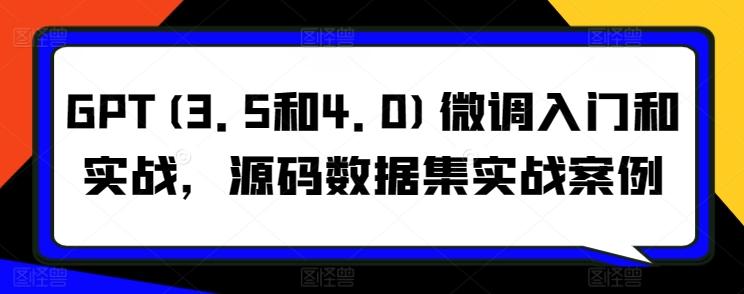 GPT(3.5和4.0)微调入门和实战，源码数据集实战案例-学库网