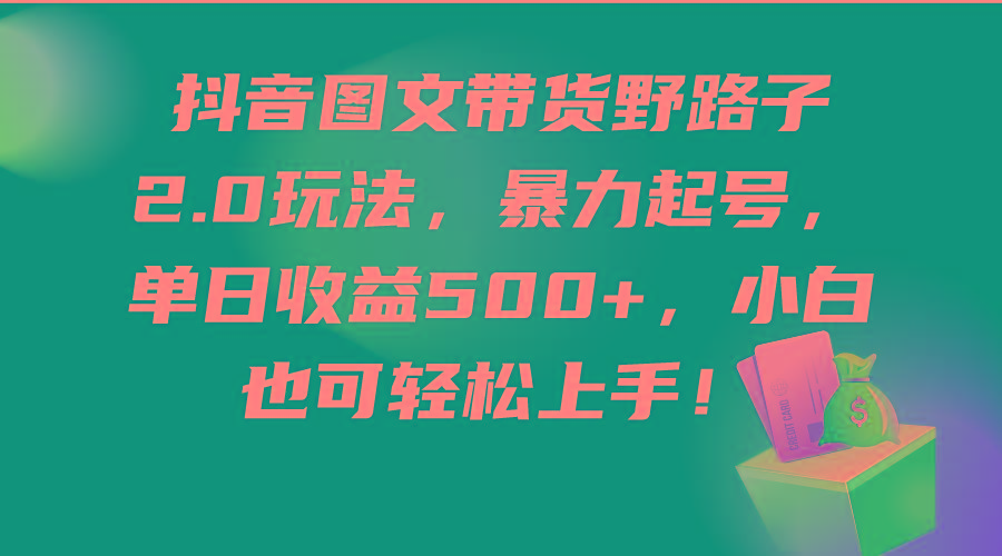 (9790期)抖音图文带货野路子2.0玩法，暴力起号，单日收益500+，小白也可轻松上手！-学库网