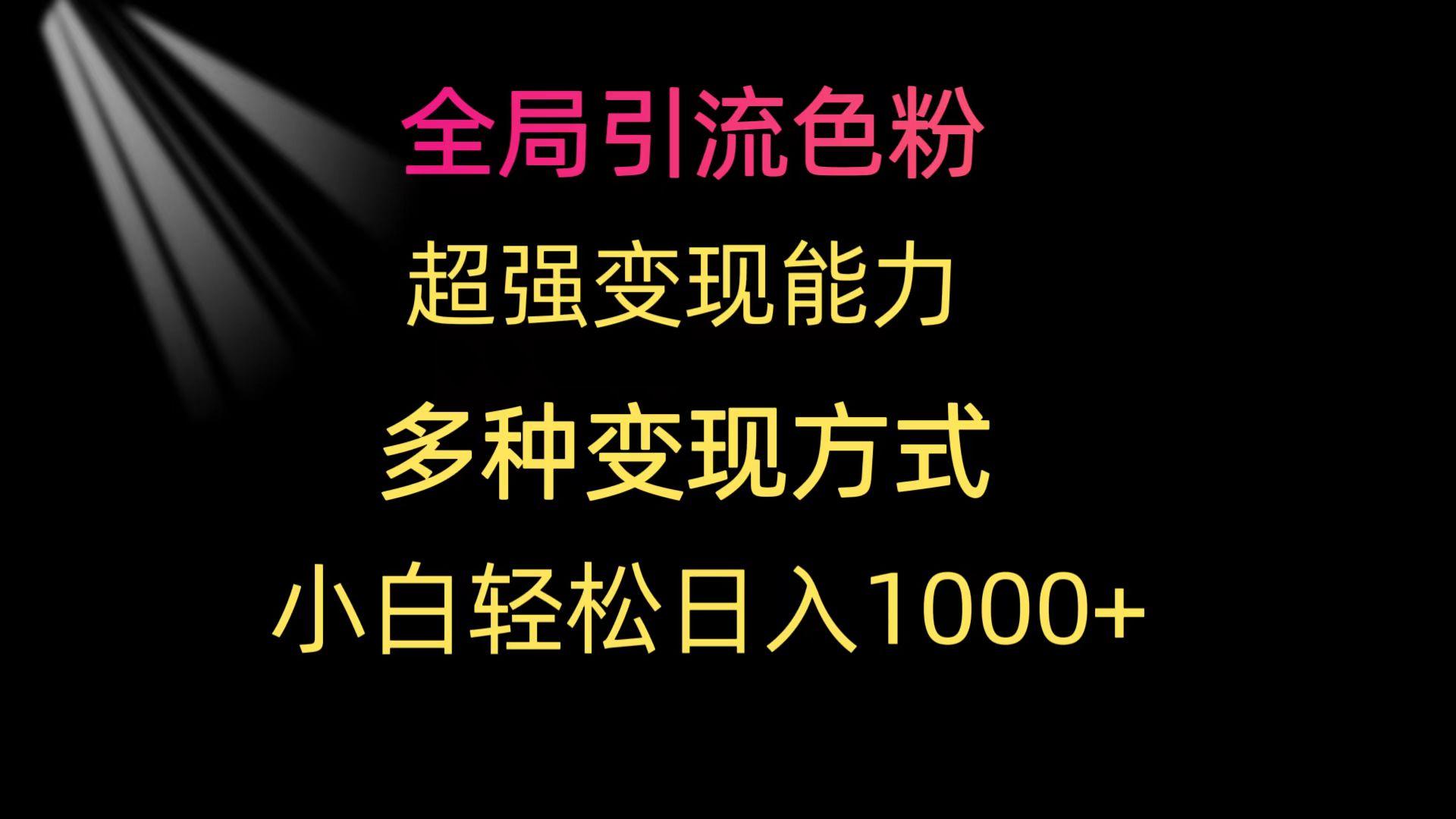 (9680期)全局引流色粉 超强变现能力 多种变现方式 小白轻松日入1000+-学库网