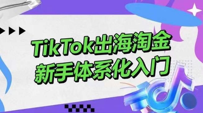 TikTok出海淘金，新手体系化入门，零基础快速入门，掌握短视频、直播带货等引流到变现的知识-学库网