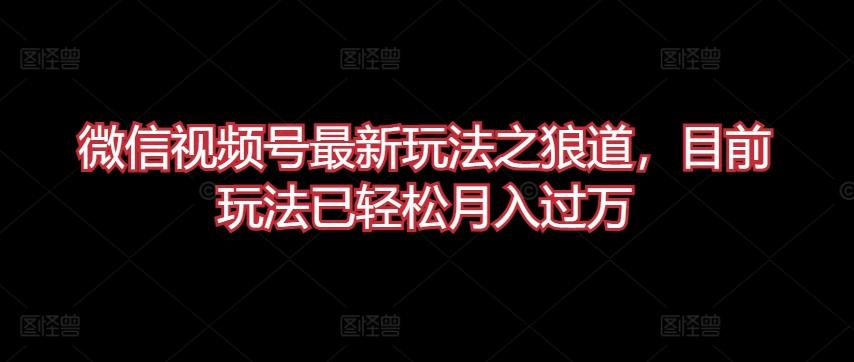 微信视频号最新玩法之狼道，目前玩法已轻松月入过万【揭秘】-学库网