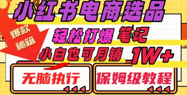 小红书电商爆款选品秘籍，帮你轻松打爆笔记，小白也可轻松月销10000+-学库网