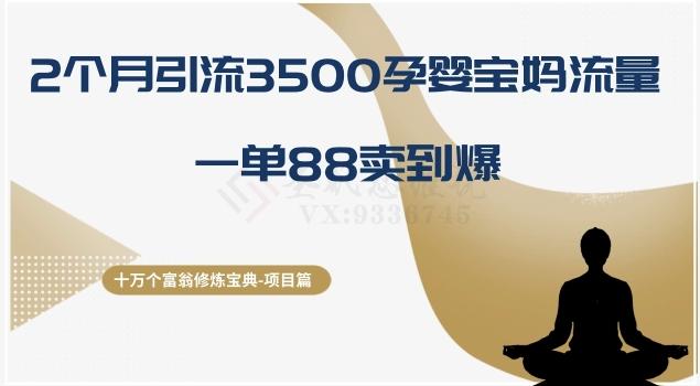 十万个富翁修炼宝典之13.2个月引流3500孕婴宝妈流量，一单88卖到爆-学库网